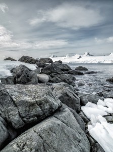Landskab med klipper og is ved Antarktis