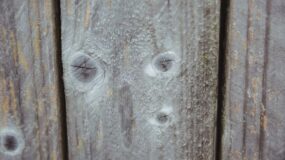 Fugt i træ kan overvåges