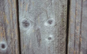 Fugt i træ kan overvåges